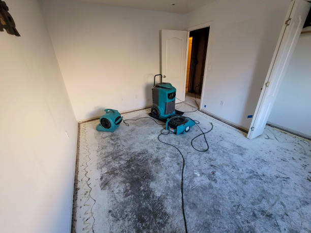 Best Mold removal after water damage  in Mercer Island, WA