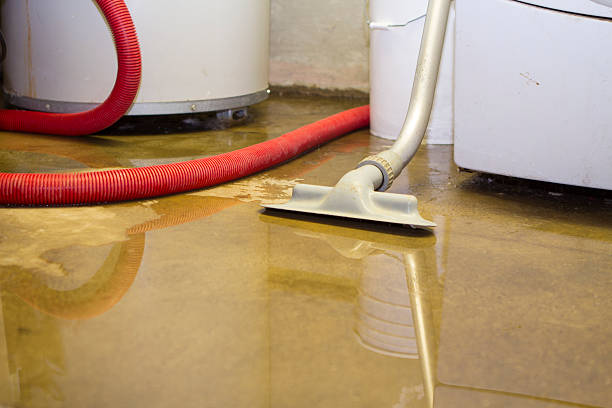 Water damage restoration insurance claims in Mercer Island, WA