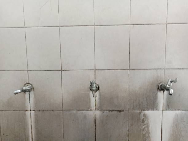 Reliable Mercer Island, WA Water damage restoration Solutions
