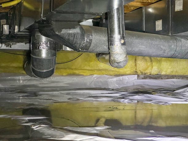 Best Professional water damage repair  in Mercer Island, WA