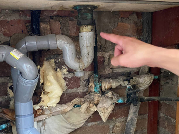 Best Local water damage restoration  in Mercer Island, WA